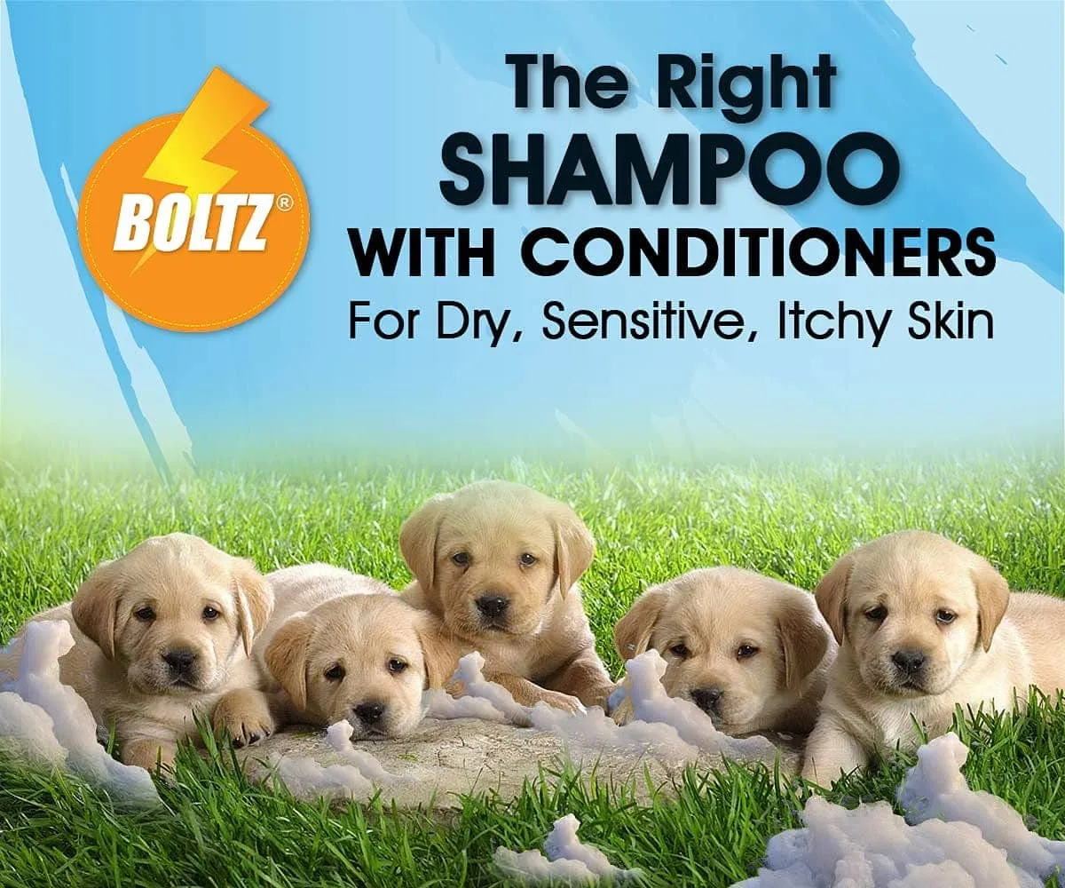 Boltz Shampoo for Dogs