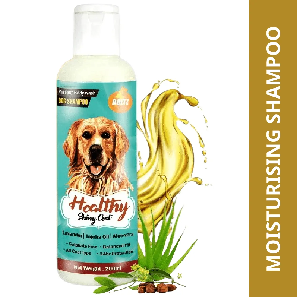 Boltz Shampoo for Dogs