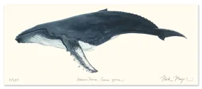 Humpback Whale Masterwork Canvas