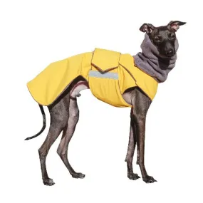 ITALIAN GREYHOUND WINTER DOG COAT   NECK WARMER / MADE TO ORDER