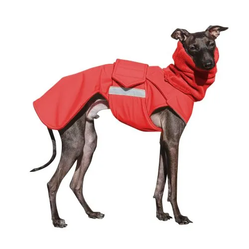 ITALIAN GREYHOUND WINTER DOG COAT   NECK WARMER / MADE TO ORDER