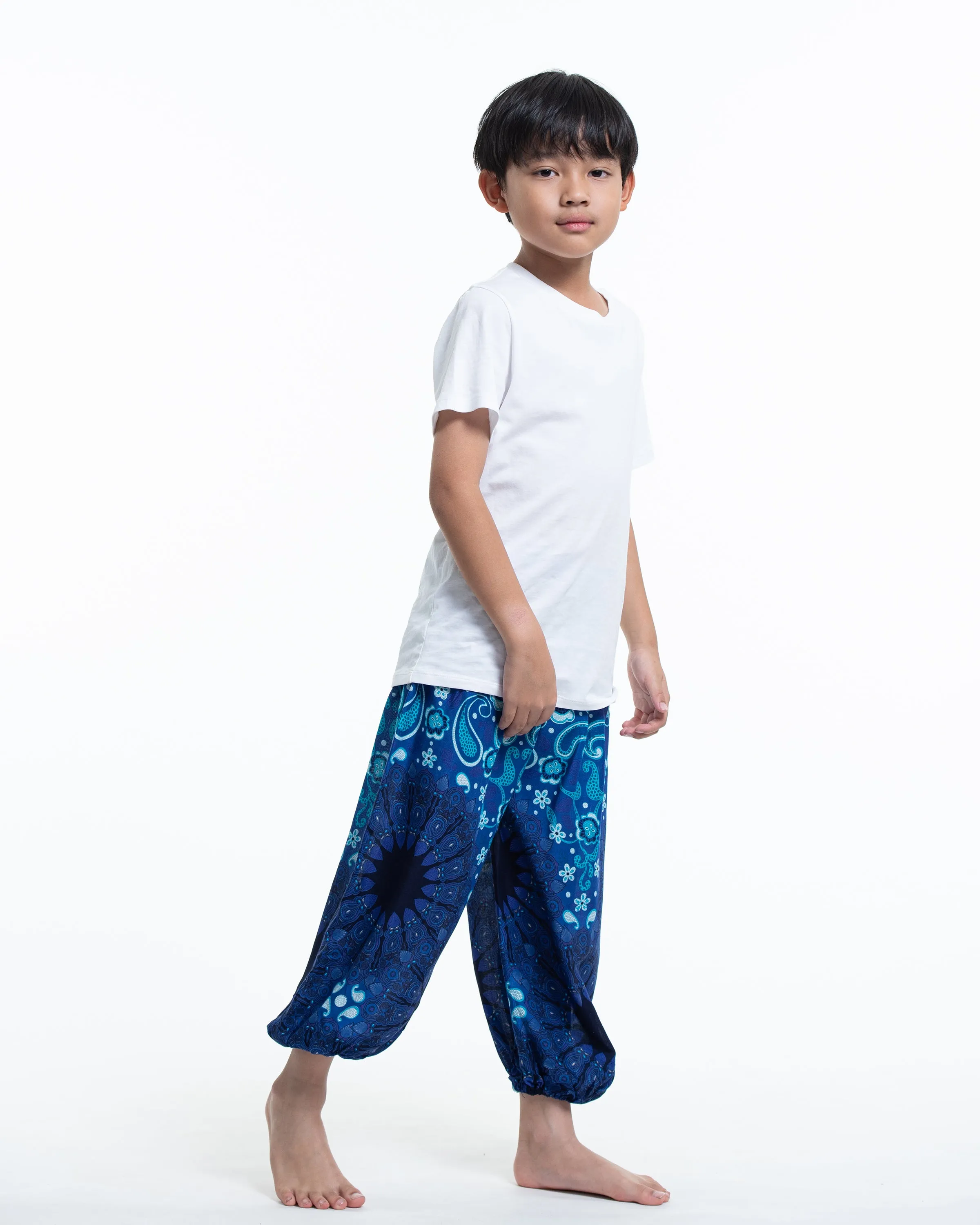 Kids Paisley Mandalas Harem Pants in Blue