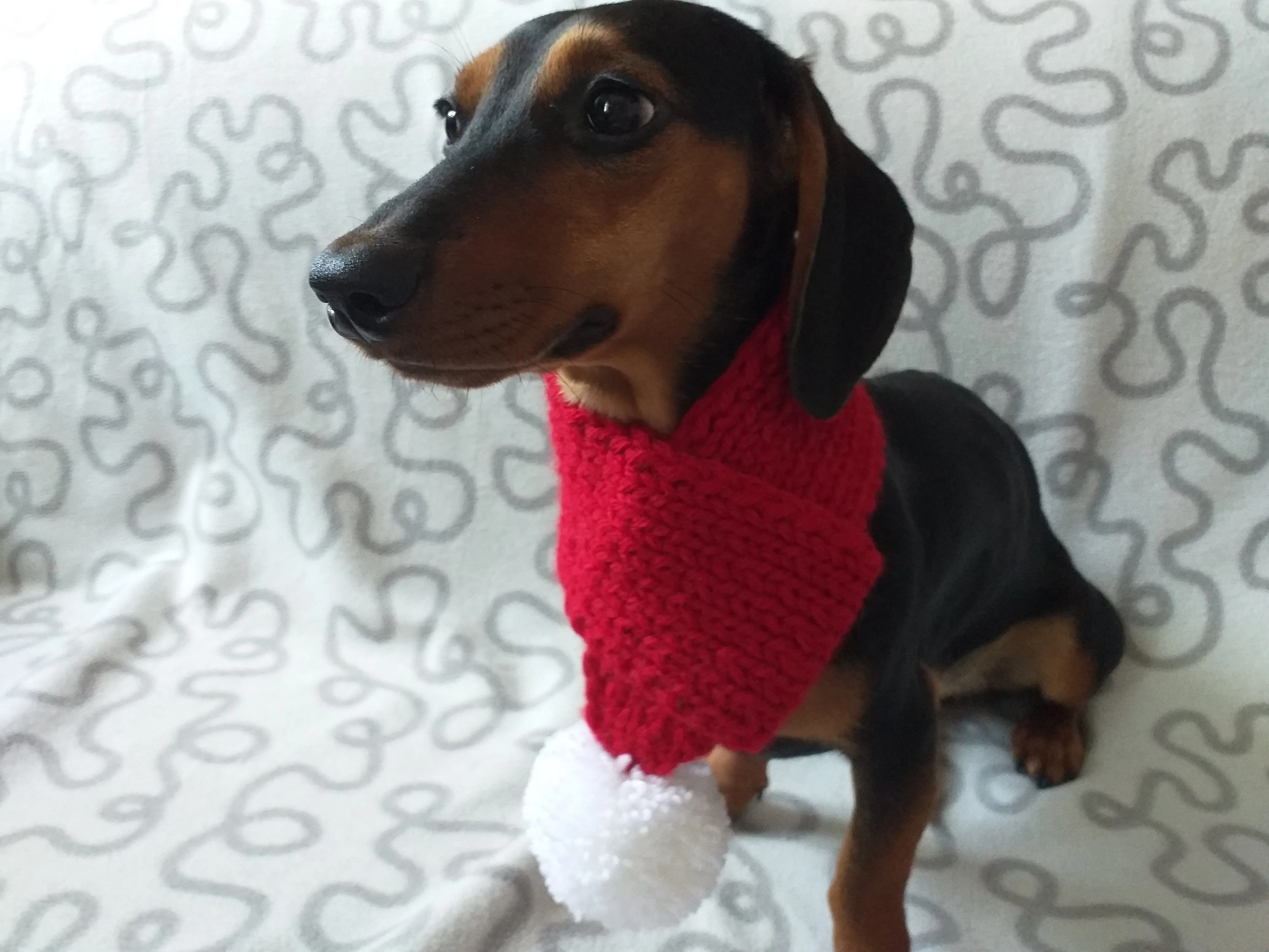 Knitted christmas winter dog scarf with pompom