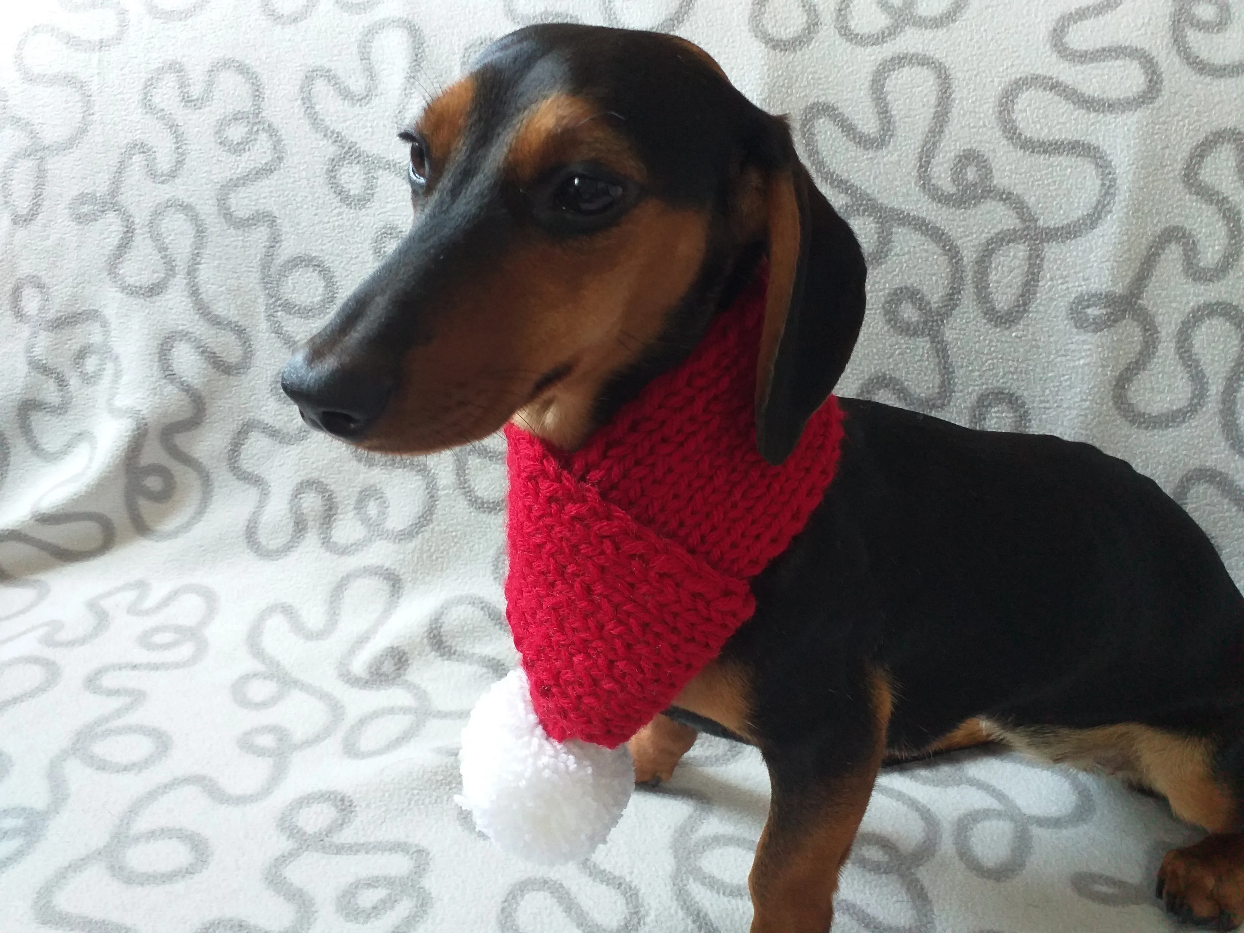 Knitted christmas winter dog scarf with pompom