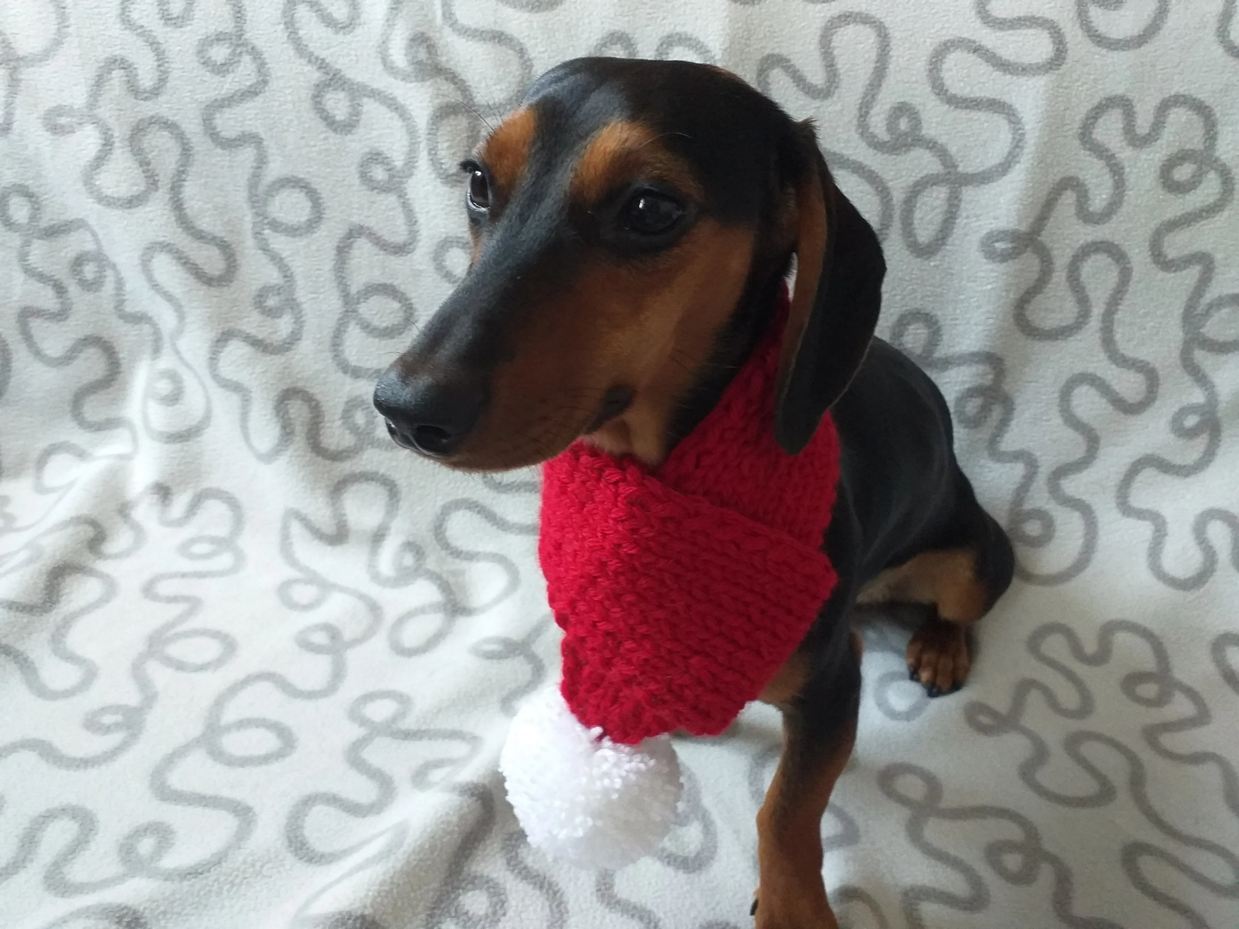 Knitted christmas winter dog scarf with pompom